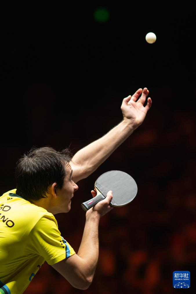 德约科维奇 德约科维奇