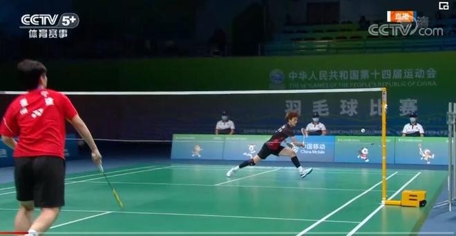 仅展示了顶 仅展示了顶