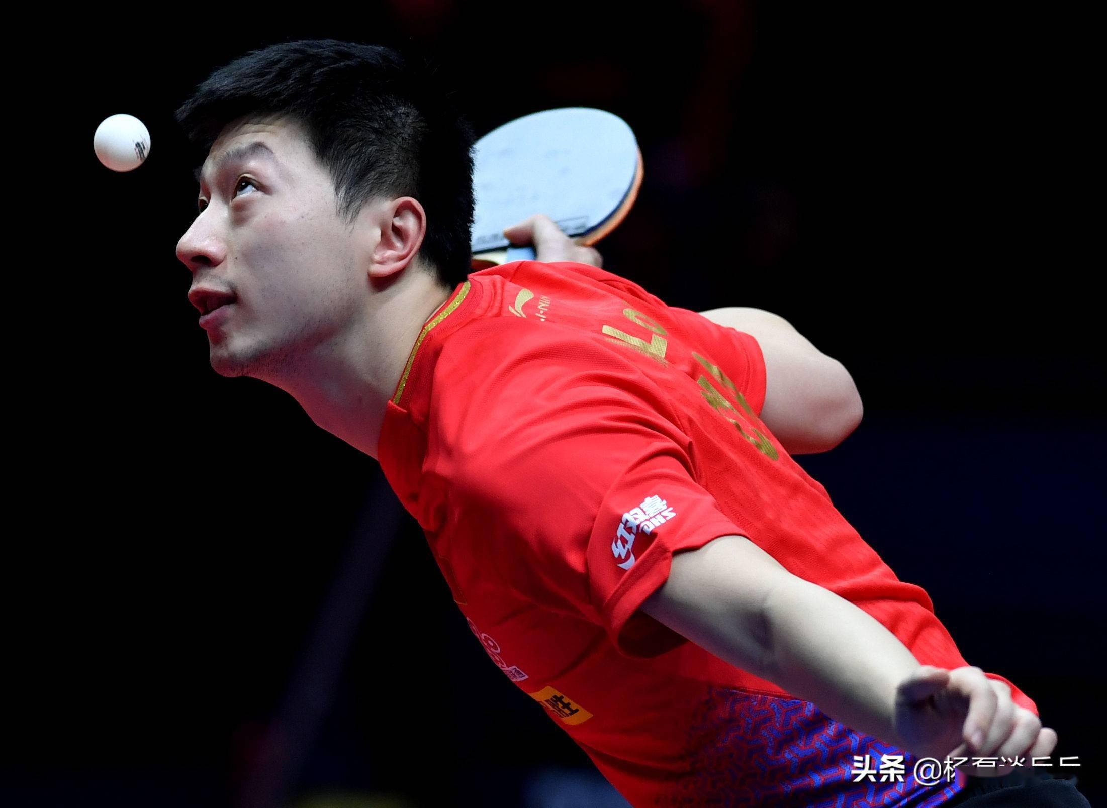 强意志和竞 强意志和竞